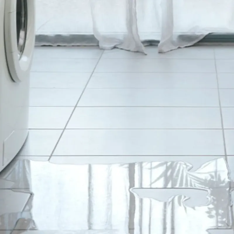 Appliance Leak Cleanup in Earth, TX
