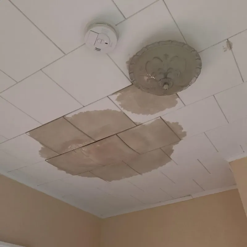 Ceiling Water Damage Repair in Earth, TX