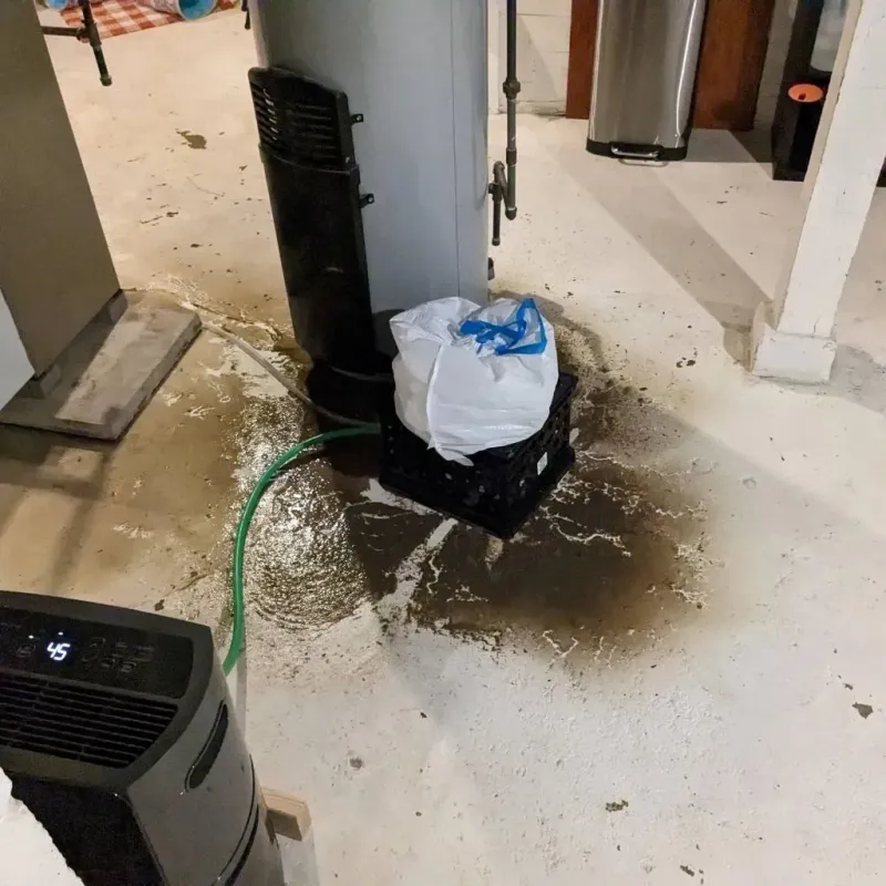 Sewage Backup Cleanup Service in Earth, TX